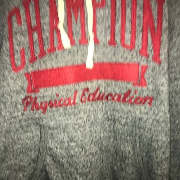 CHAMPION Men’s‎ Gray Hoodie Size Large - Picture 4 of 10